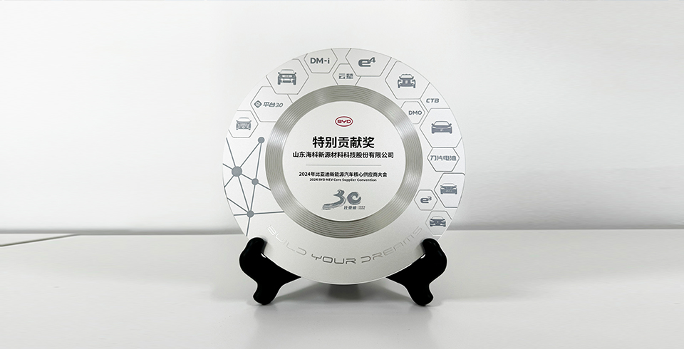 星空·网站入口网址-星空（中国）连续四年再度荣获比亚迪2024年“特别贡献奖”